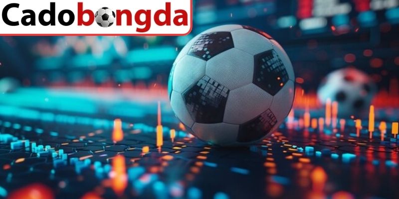 Cách Cá Độ Bóng Đá Hiệu Quả Dành Cho Người Mới Bắt Đầu 2 Các bước tiếp cận cá độ bóng đá một cách bài bản