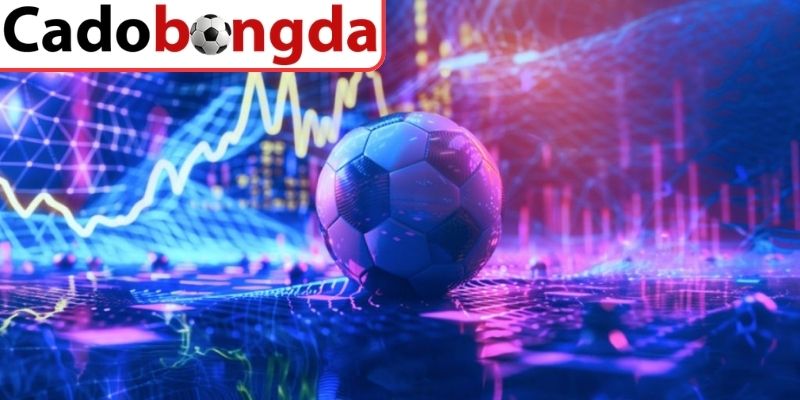 Cách Cá Độ Bóng Đá Hiệu Quả Dành Cho Người Mới Bắt Đầu 3 Những kinh nghiệm giúp tối ưu cách cá độ cho người mới