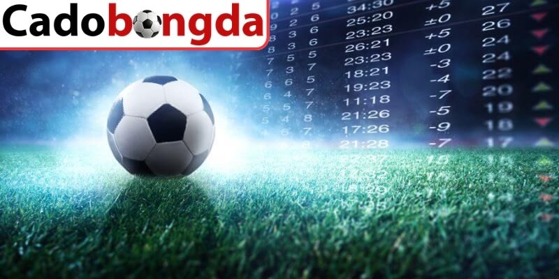 Nhận diện đúng quy trình cách tạo tài khoản cá cược