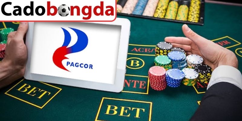 Nghiên cứu và chuẩn bị hồ sơ
