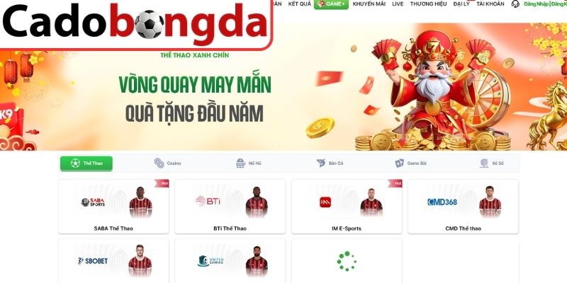OK9 Có Thực Sự An Toàn Khi Tham Gia Trải Nghiệm Cá Cược? 3 Phản hồi từ người tham gia