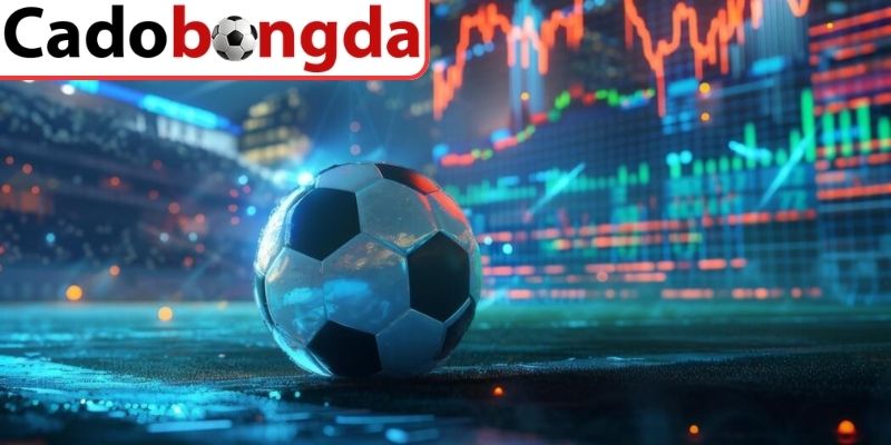 Tips Bóng Đá Chuẩn Xác Giúp Newbie Tối Ưu Lựa Chọn Kèo 2 Cách tiếp cận và sử dụng tips hiệu quả theo từng bước